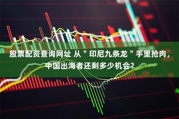 股票配资查询网址 从＂印尼九条龙＂手里抢肉，中国出海者还剩多少机会？
