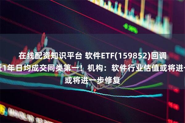 在线配资知识平台 软件ETF(159852)回调蓄势，近1年日均成交同类第一！机构：软件行业估值或将进一步修复