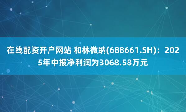 在线配资开户网站 和林微纳(688661.SH)：2025年中报净利润为3068.58万元
