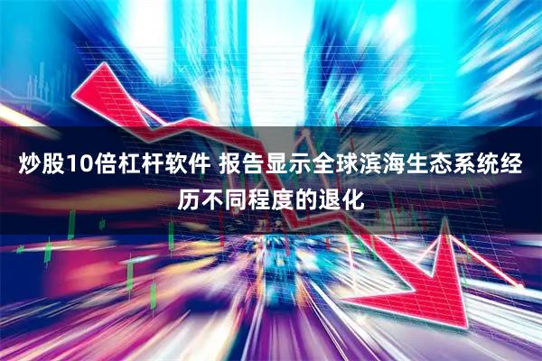 炒股10倍杠杆软件 报告显示全球滨海生态系统经历不同程度的退化